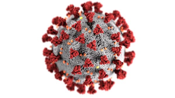 No COVID-19 outbreaks in Health Unit area