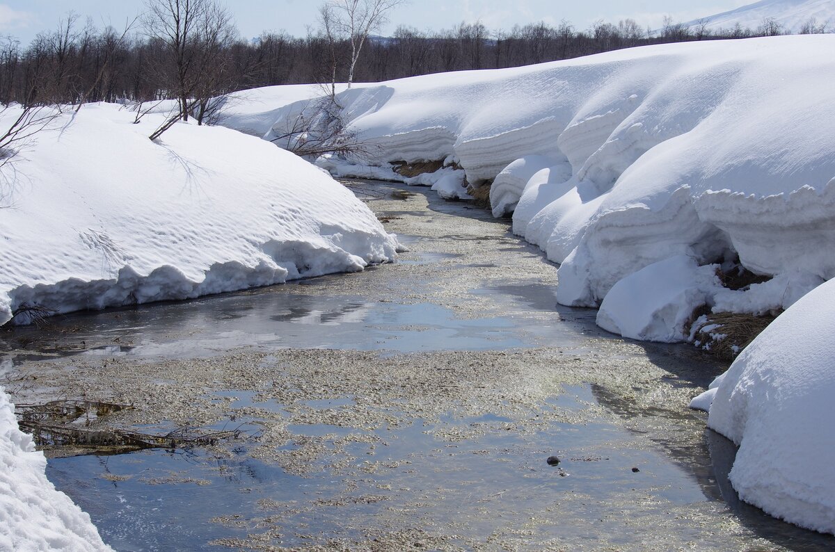 Ford undermining environmental protections, says reader