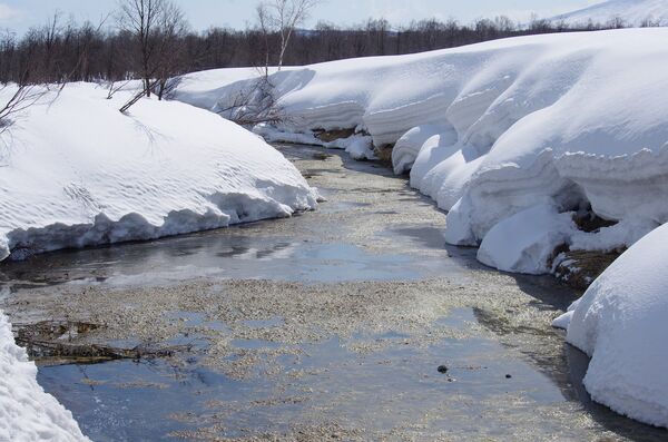 Ford undermining environmental protections, says reader