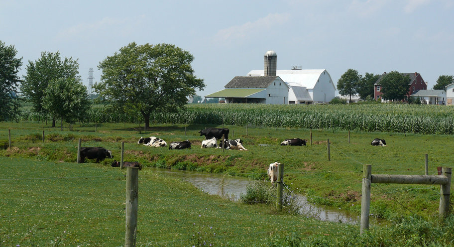 Rural Economic Development support for Kawartha Lakes