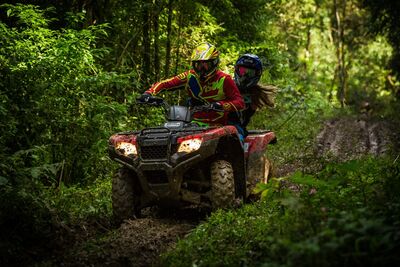 Bocking recommends against ORVs on roads
