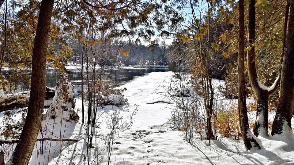 Doug Ford’s government has been no friend to the environment