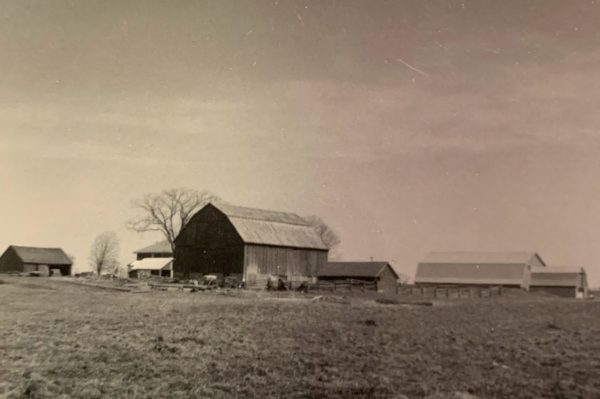 Torrey-Dale Farm, 1965.