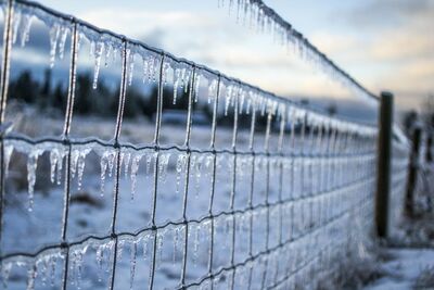 Climate action should hit the fan