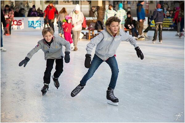 Family Day public skating