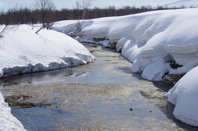 Flood watch issued by Kawartha Conservation with insistent rain, melting