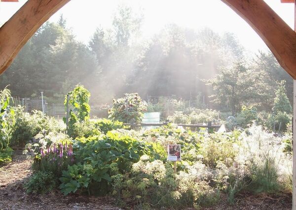 Can you dig it? Community Garden looking for more gardeners
