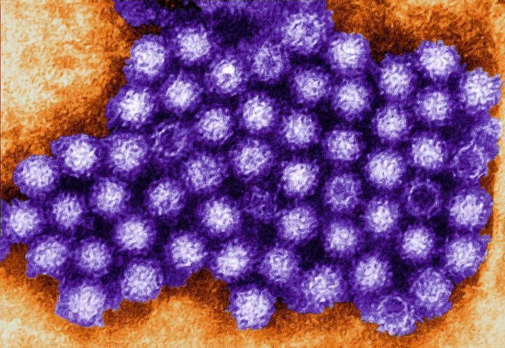 Ross Memorial clarifies outbreak restrictions