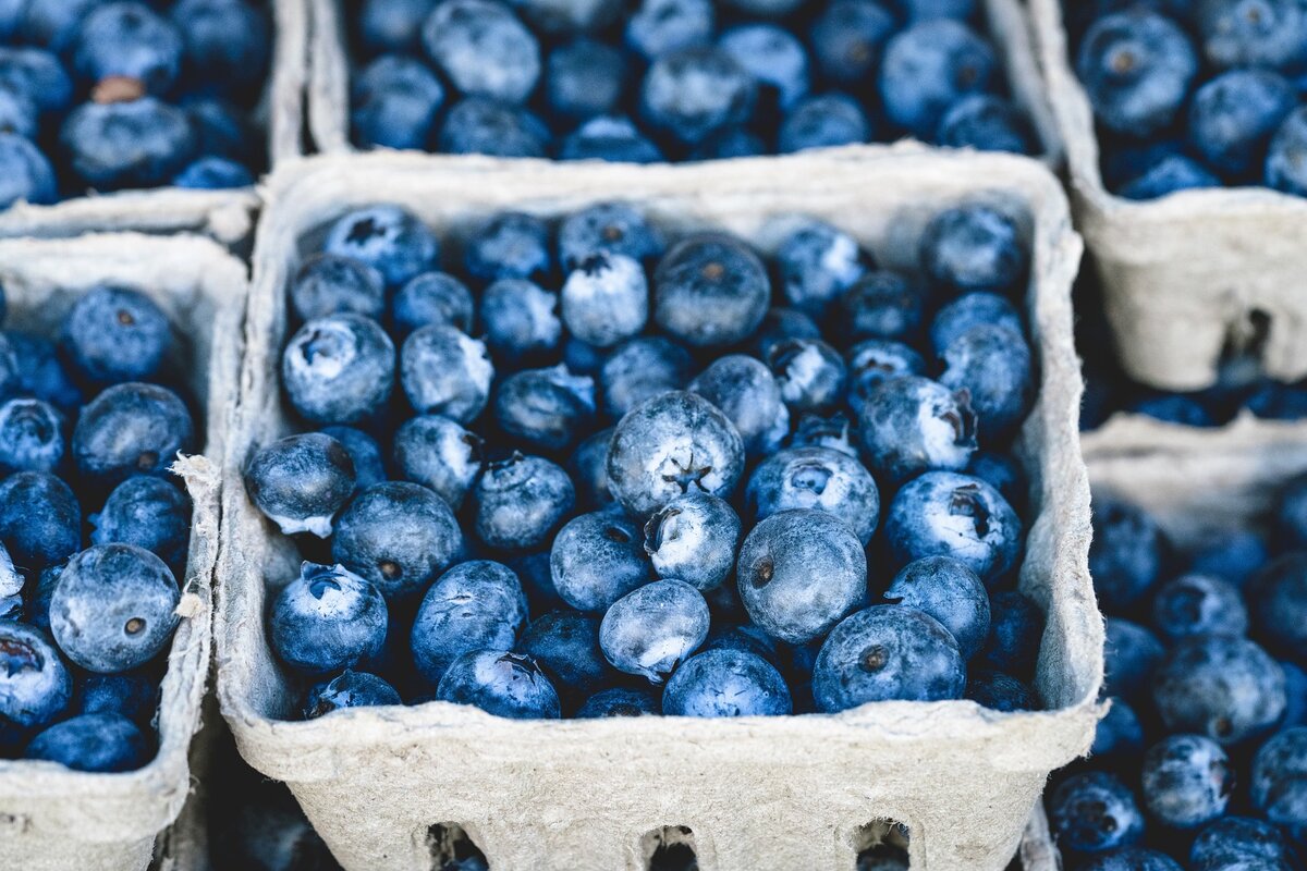 Bobcaygeon Farmers' Market open now