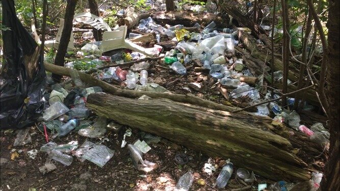 Local man draws attention to 'awful' litter near Rainbow Bridge in Lindsay