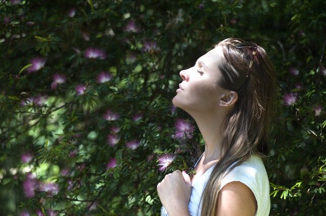 Buddhist practices to help with addiction soon available