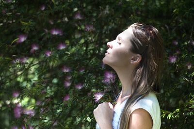 Finding a sense of peace and serenity within life's stresses