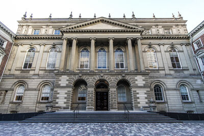 Basic income judicial review: A view from the gallery