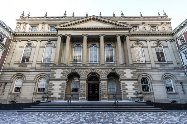 Basic income judicial review: A view from the gallery