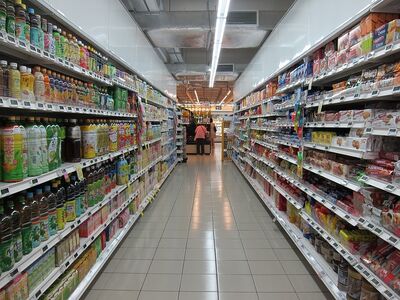 Nearly half of basic income recipients were severely food insecure: Survey