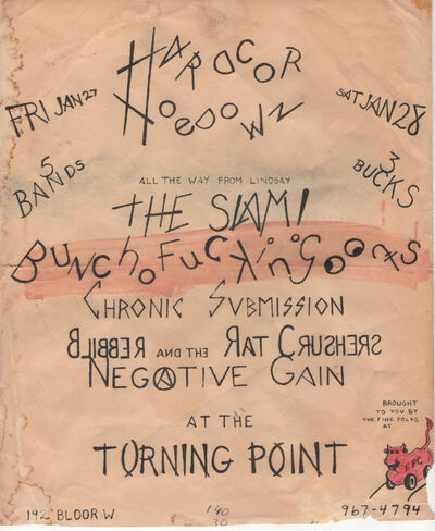 Anarchy in Kawartha Lakes: A local history of punk rock