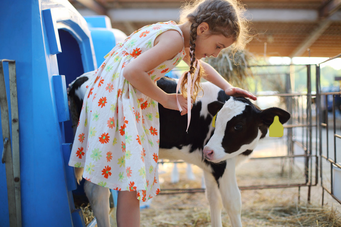 Help your community, be a part of IPM 2020