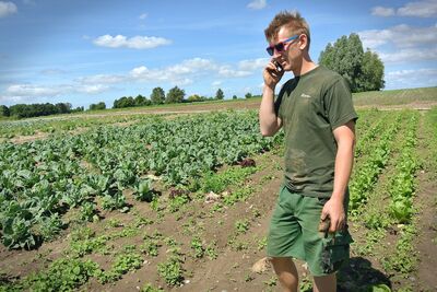Crop planting jeopardy: Temporary foreign workers delayed for Kawartha Lakes