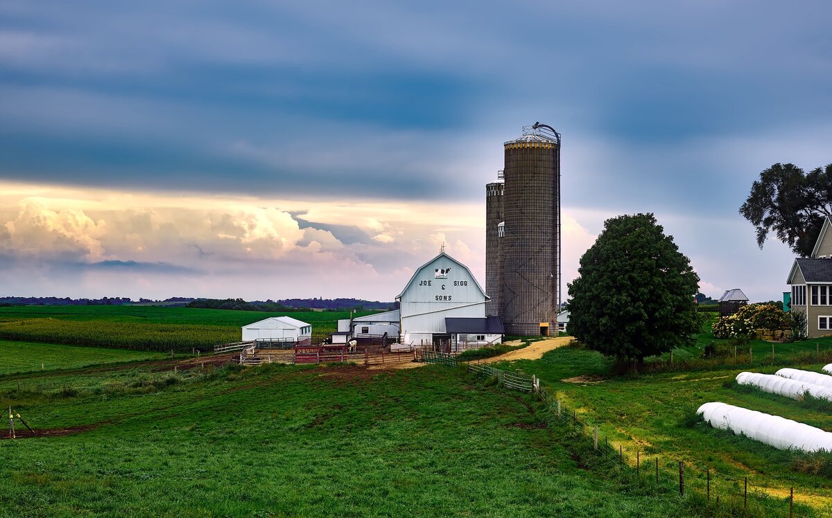 Plowing match postponed for one year due to COVID-19